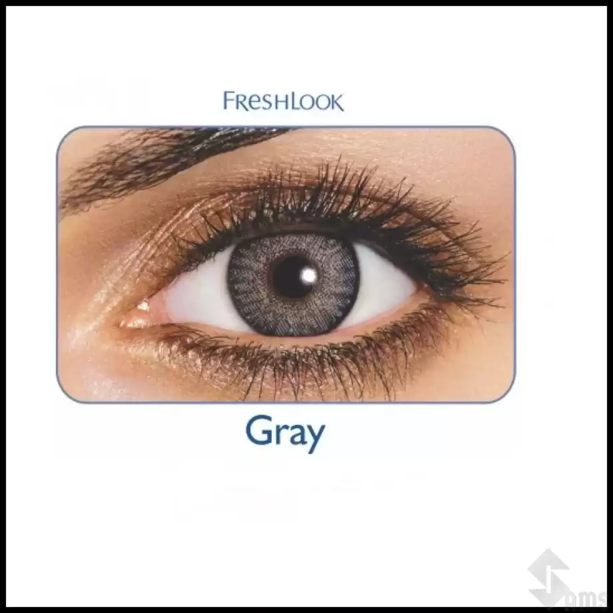 Freshlook-Colored-Lens-Grey-1.webp