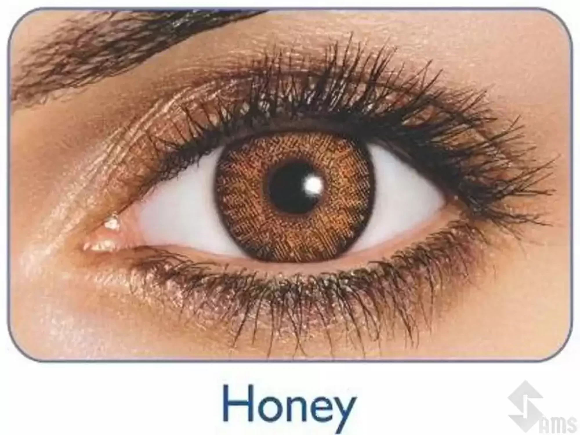 Freshlook-Colored-Lens-Honey1.webp