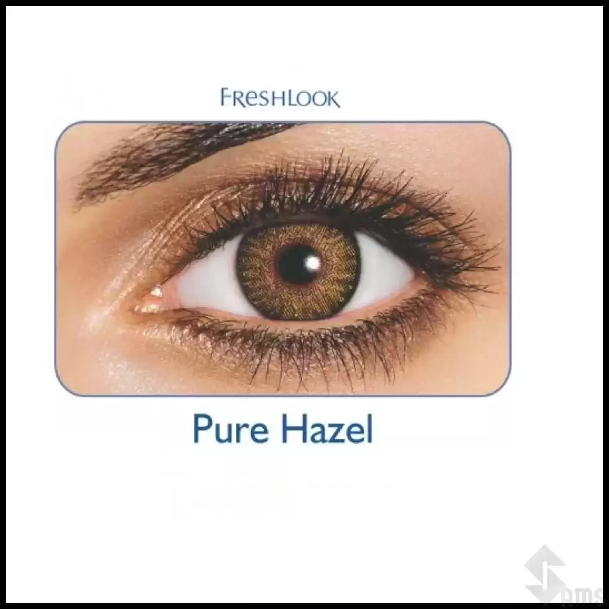 Freshlook-Colored-Lens-Pure-Hazel-1.webp