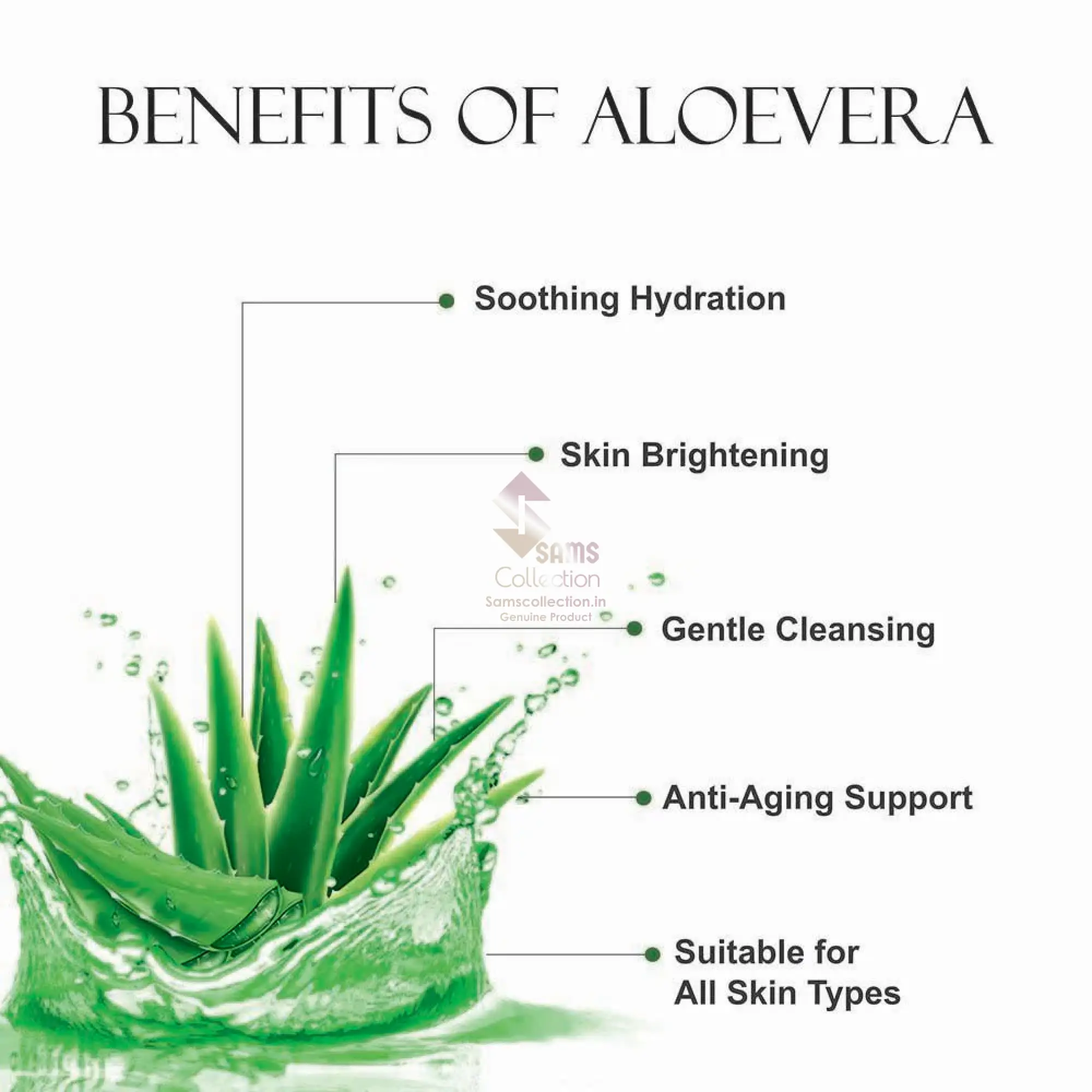 shills-professional-face-wash-aloevera-product-images-orvlc8hlcds-p612683048-3-202511031801.webp